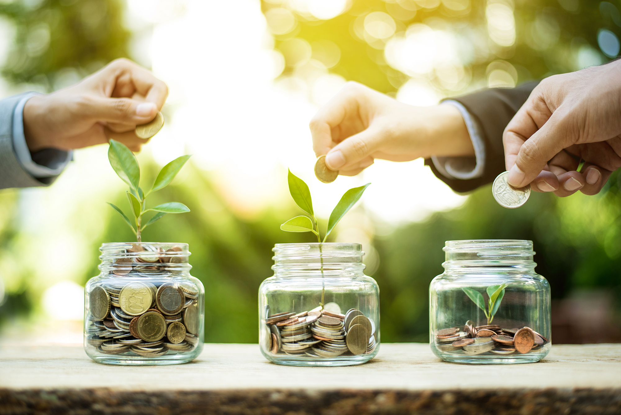 Eco-friendly Money Tips | Assured